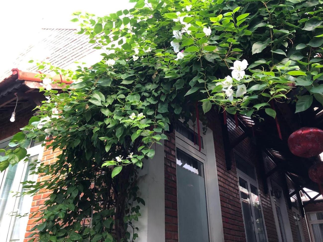 Q'Tropical Garden Homestay เว้ ภายนอก รูปภาพ